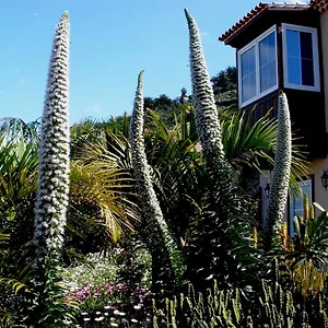 Apartamento Mar Y Teide , El Sauzal Spanien