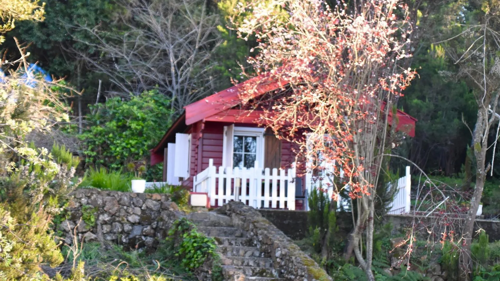 Landhaus Gasthaus Casa Rural La Gustoza El El Sauzal Spanien