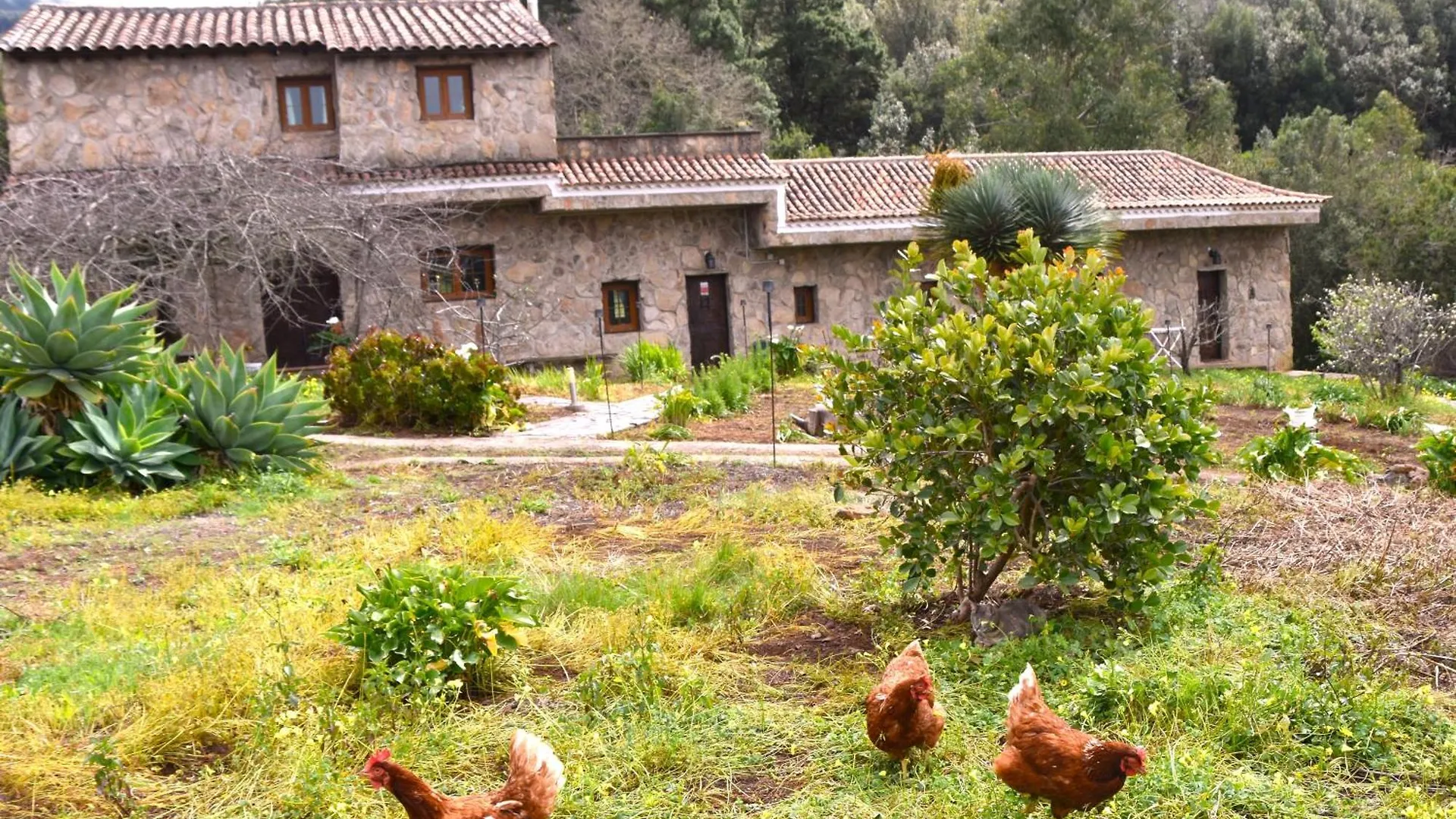 Gasthaus Casa Rural La Gustoza El El Sauzal Landhaus